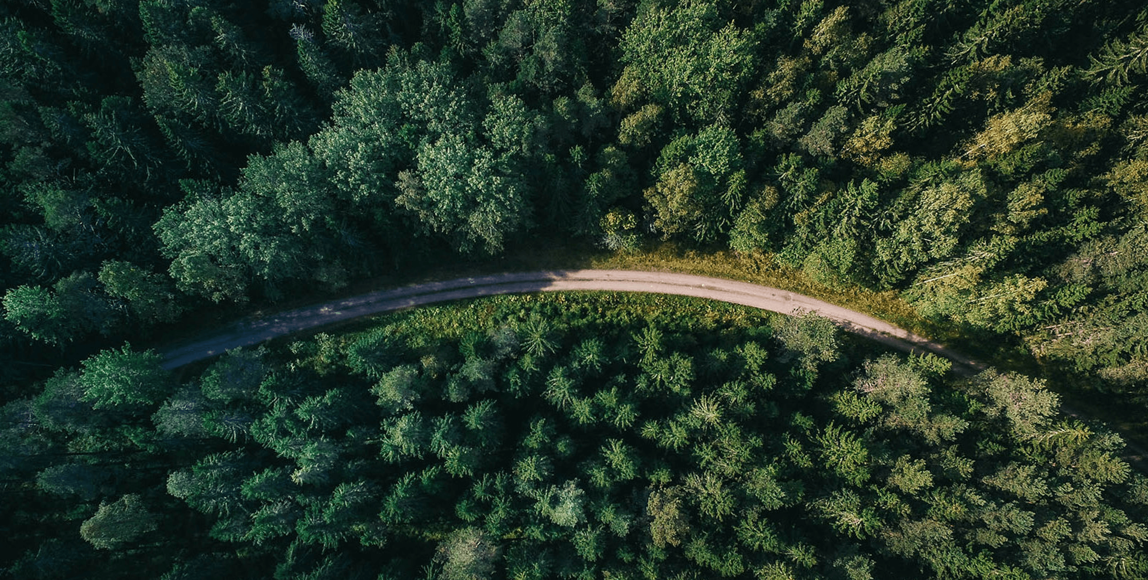 Forestry