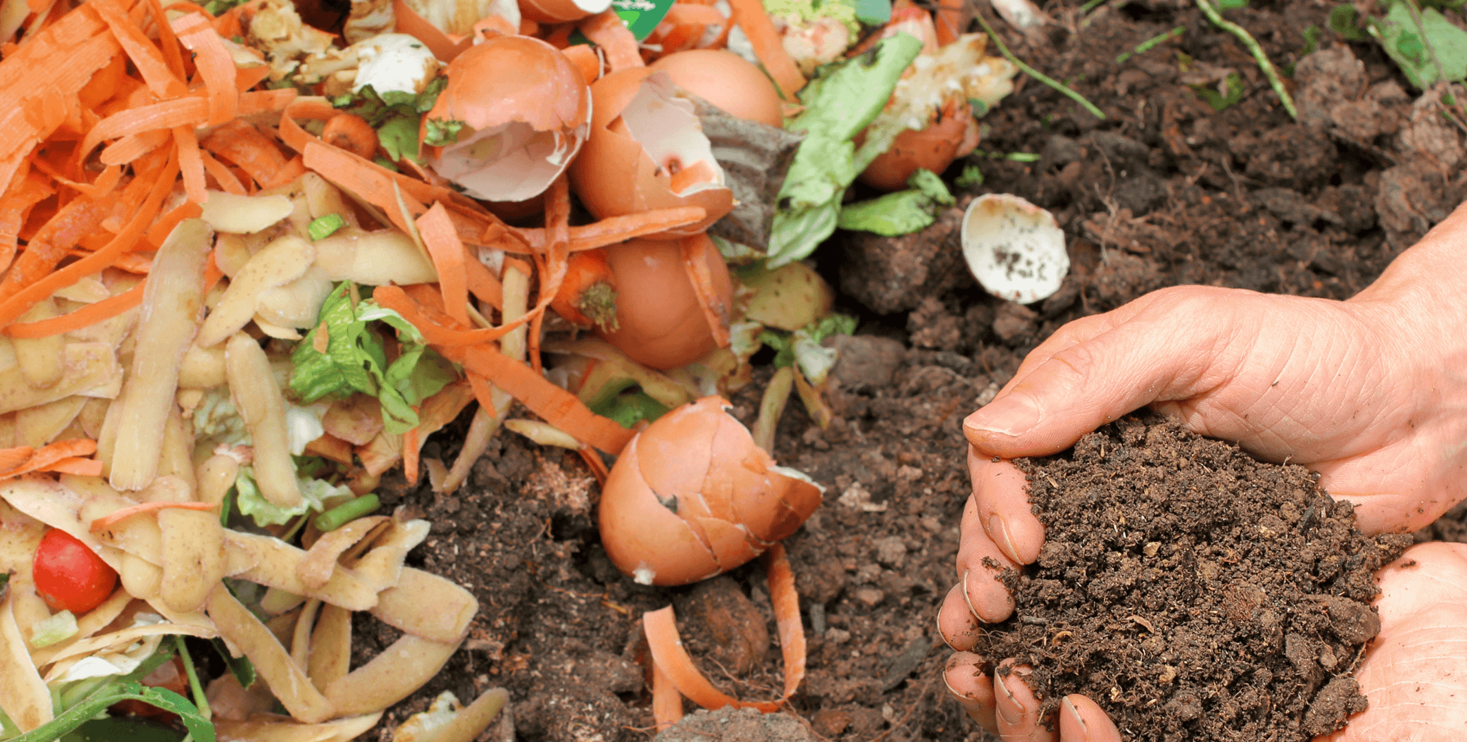 Waste Management
