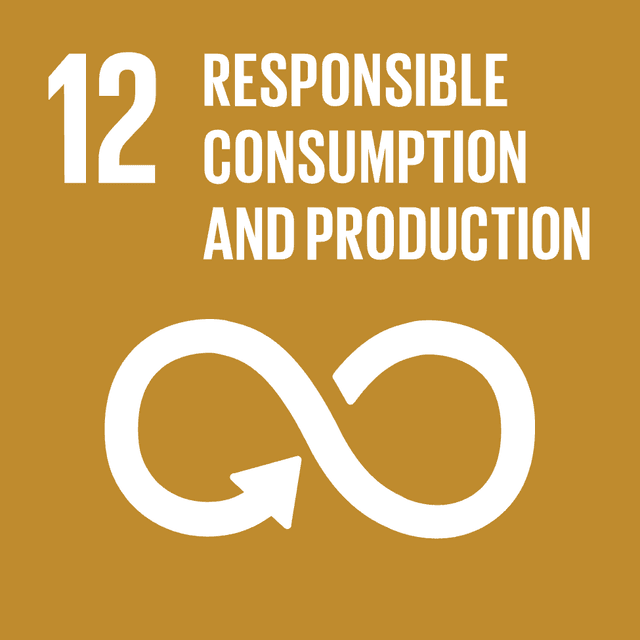 We are partnering with experts to make sure our projects create significant change for local communities  in wide range of climate, social, and economic issues. By applying innovative solutions and sustainable practices, we help to achieve at least 5 of the UN Sustainable Development Goals, benefiting communities and the environment. 