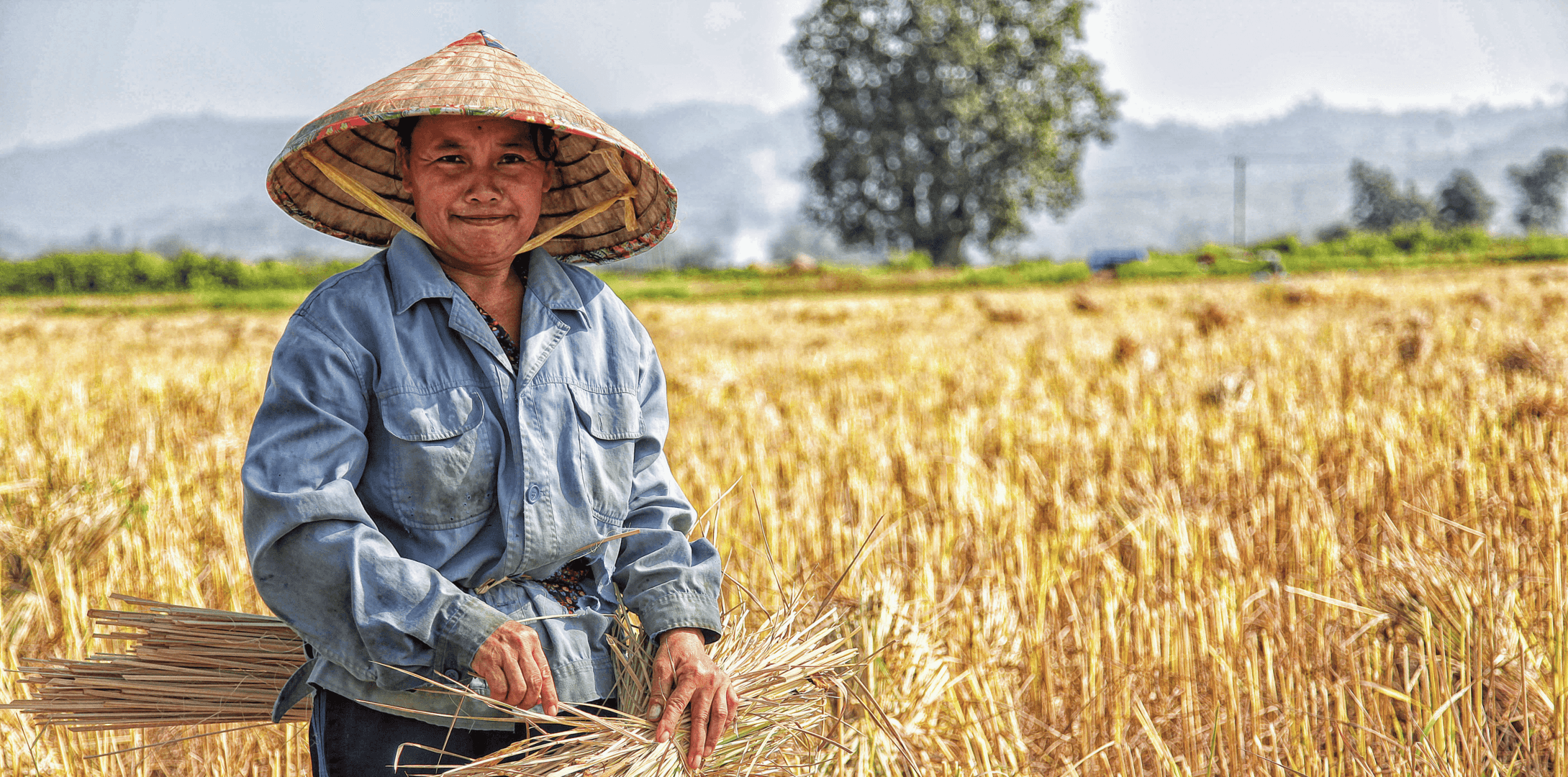 Agriculture