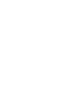 Increase sustainable income for local