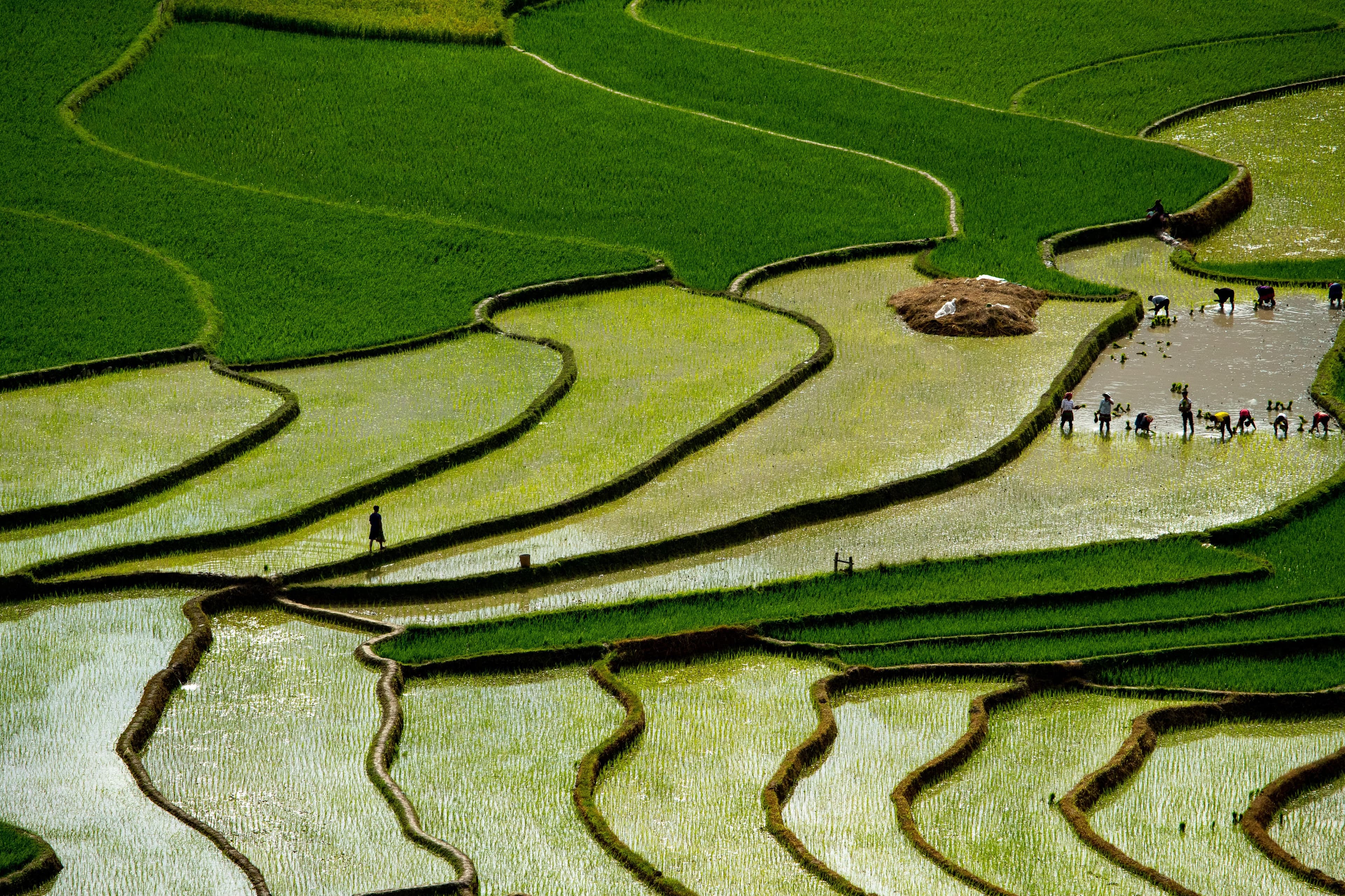 https://sublime-cow-1517c2c6b8.media.strapiapp.com/agri_c245f53cd2.jpg